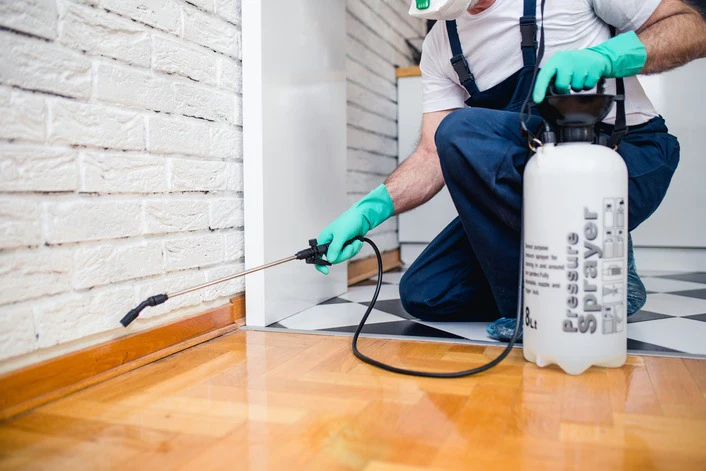 The Crucial Benefits of Pest Control Services in the UK